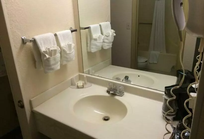 Standard-huone 2 Parivuodetta, Baymont By Wyndham Metropolis