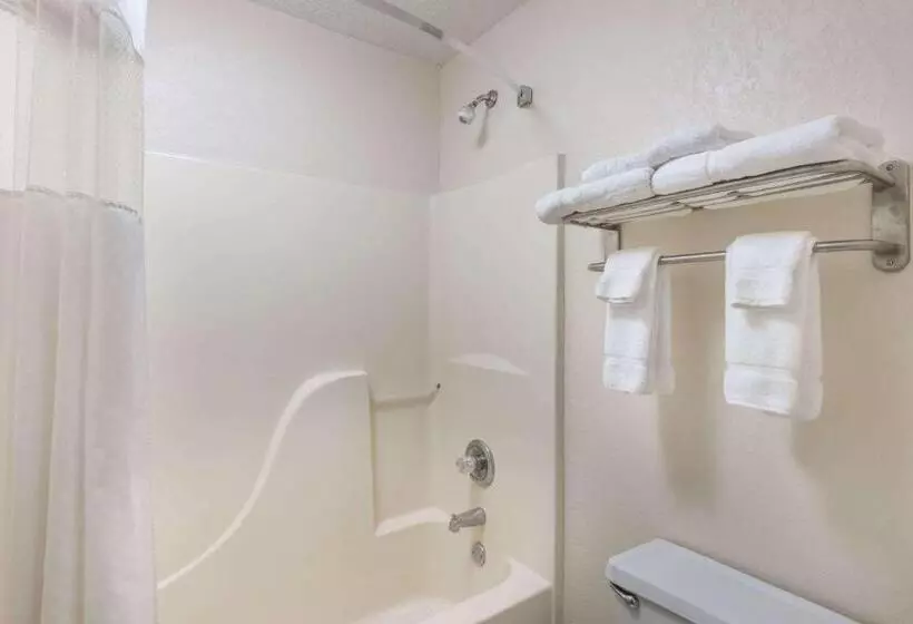 Standard-studio King-vuode, Baymont By Wyndham Metropolis