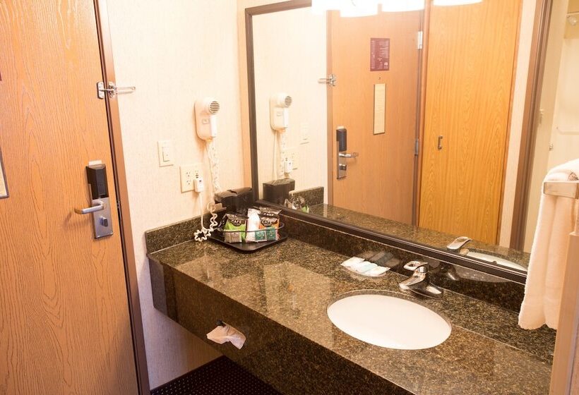 غرفه قياسيه سريرين مزدوجين, Comfort Inn Anderson South