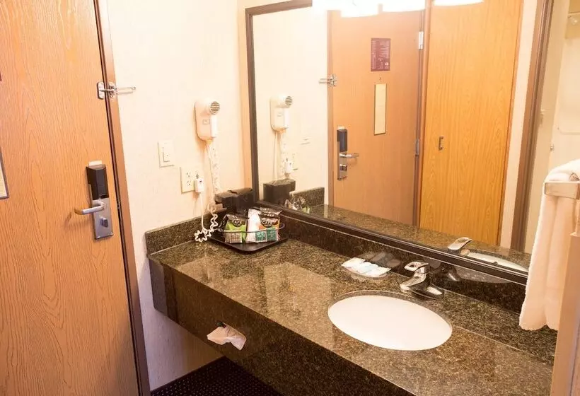 ２ダブルベッドのスタンダードルーム, Comfort Inn Anderson South