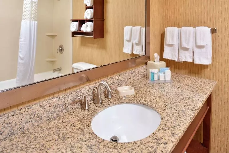 سوئیت با تخت بزرگ, Hampton Inn Idaho Falls/airport