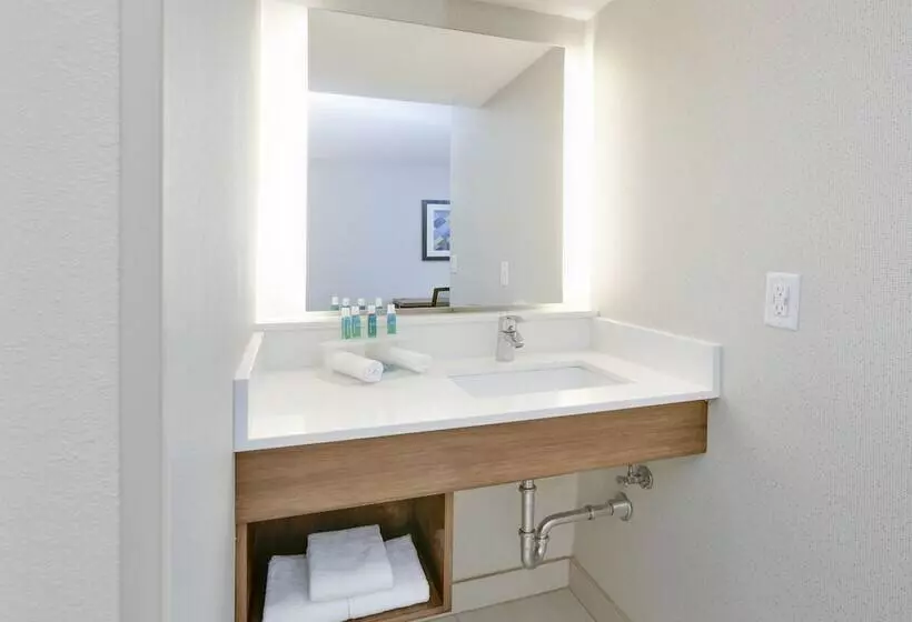 スイート, Holiday Inn Express & Suites Irving Conv Ctr   Las Colinas, An Ihg