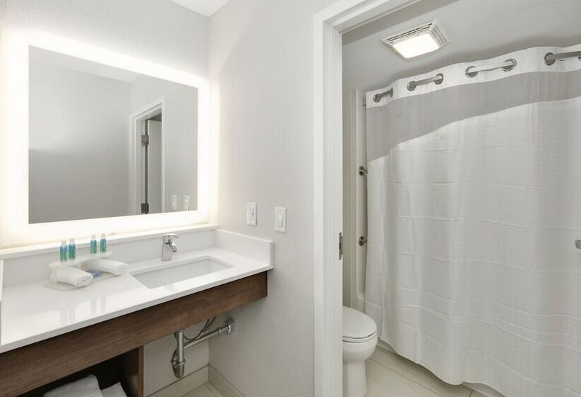 Lakosztály, Holiday Inn Express & Suites Irving Conv Ctr   Las Colinas, An Ihg