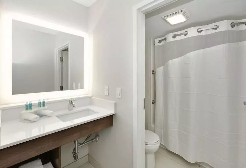 スイート, Holiday Inn Express & Suites Irving Conv Ctr   Las Colinas, An Ihg