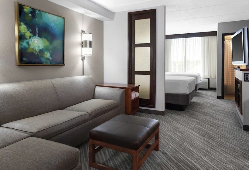 Номер Стандарт 2 Двуспальные Кровати, Hyatt Place Detroit/auburn Hills