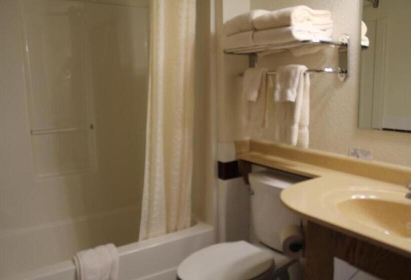 Номер Стандарт, Nichols Inn & Suites