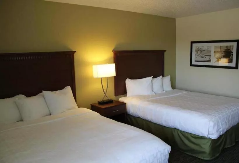 Standard-huone, Nichols Inn & Suites
