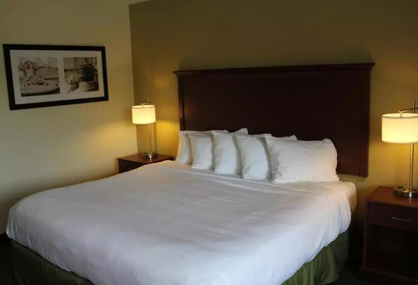 Standard-huone King-vuode, Nichols Inn & Suites