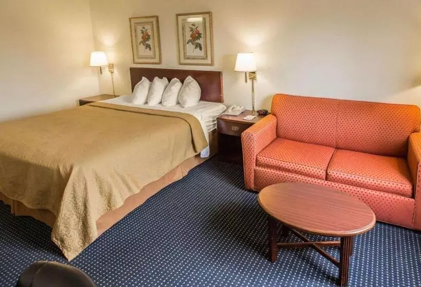 Standard-huone King-vuode, Quality Inn