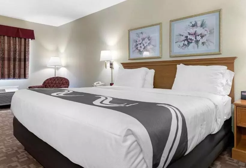 キングサイズベッドのスタンダードルーム, Quality Inn Washington Court House