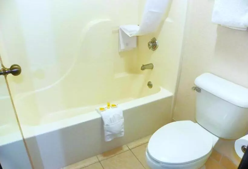 キングサイズベッドのスイートルーム, Royalton Inn & Suites Upper Sandusky