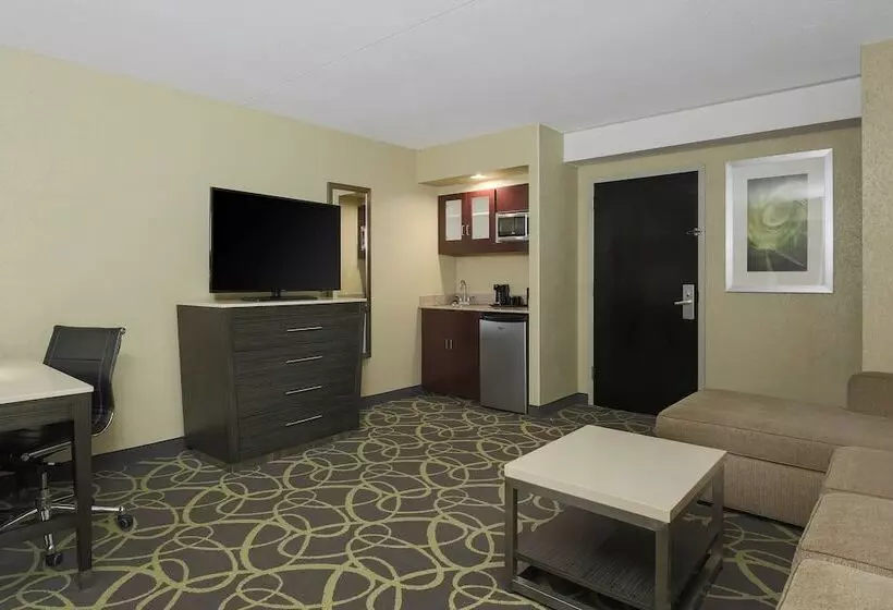 エクゼクティブスイート, Springhill Suites By Marriott Oklahoma City Quail Springs