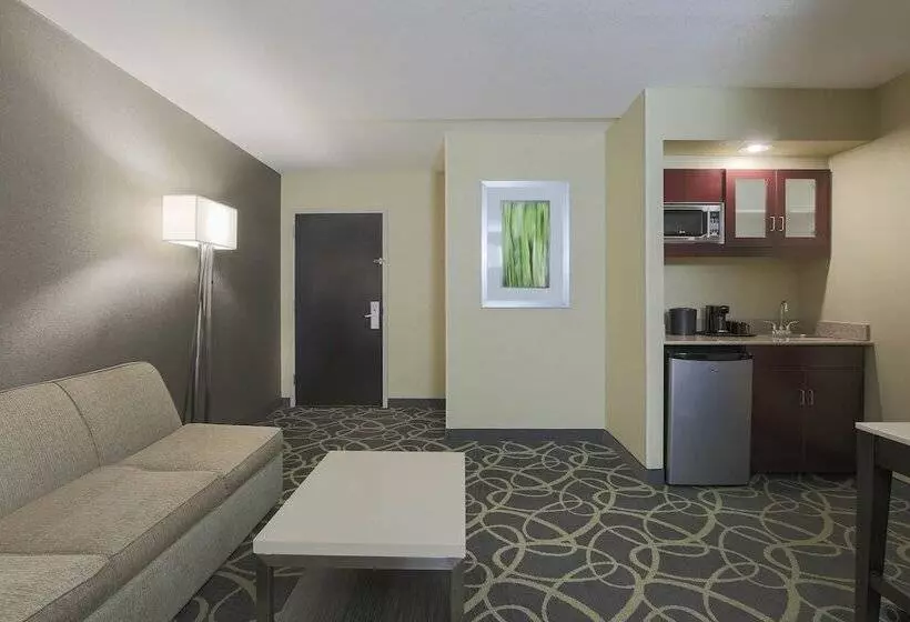 エクゼクティブスイート, Springhill Suites By Marriott Oklahoma City Quail Springs