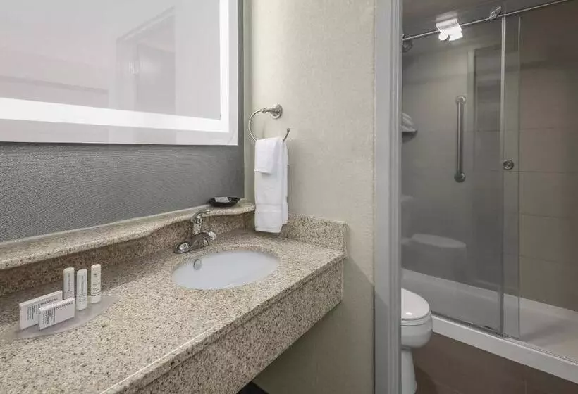 キングサイドベッドのスタンダードワンルーム, Springhill Suites By Marriott Oklahoma City Quail Springs