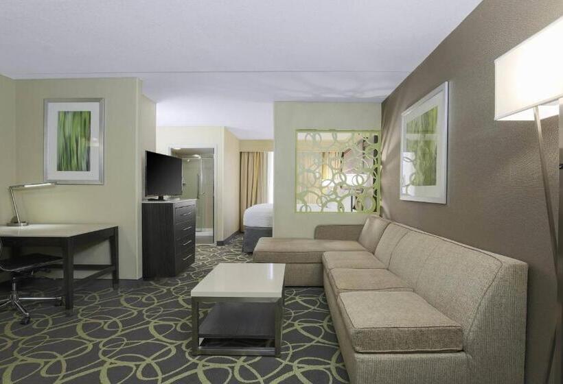 إستوديو قياسى سرير كينج, Springhill Suites By Marriott Oklahoma City Quail Springs