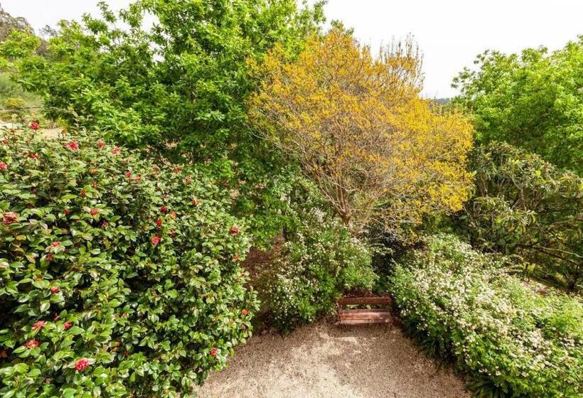 غرفة قياسية, Casa Do Cabeço