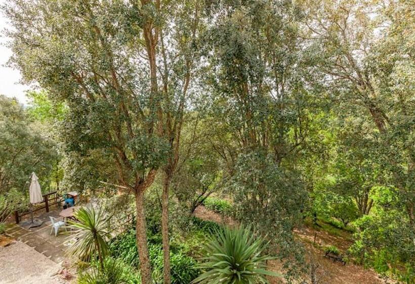 غرفة قياسية فردية, Casa Do Cabeço