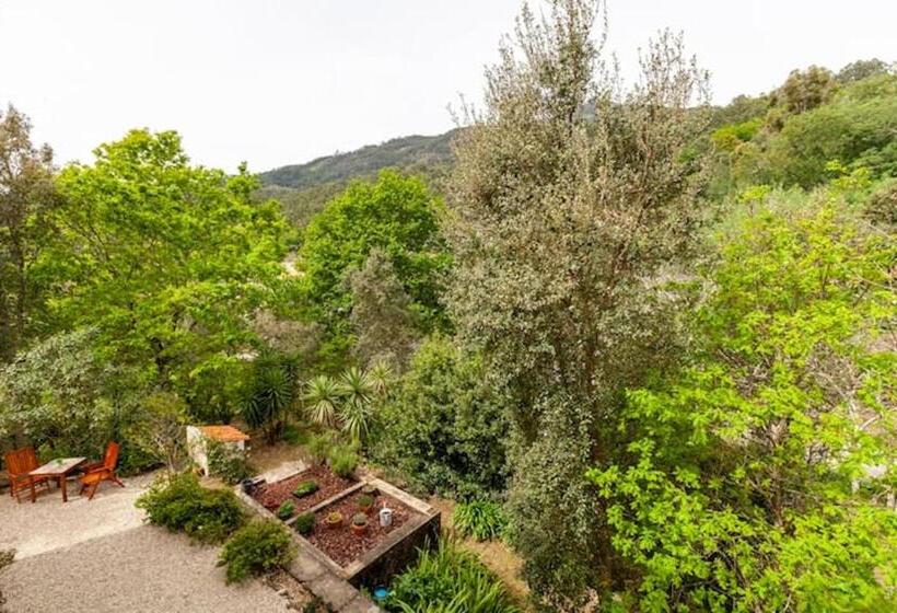 غرفة قياسية مع حمام خارجي, Casa Do Cabeço