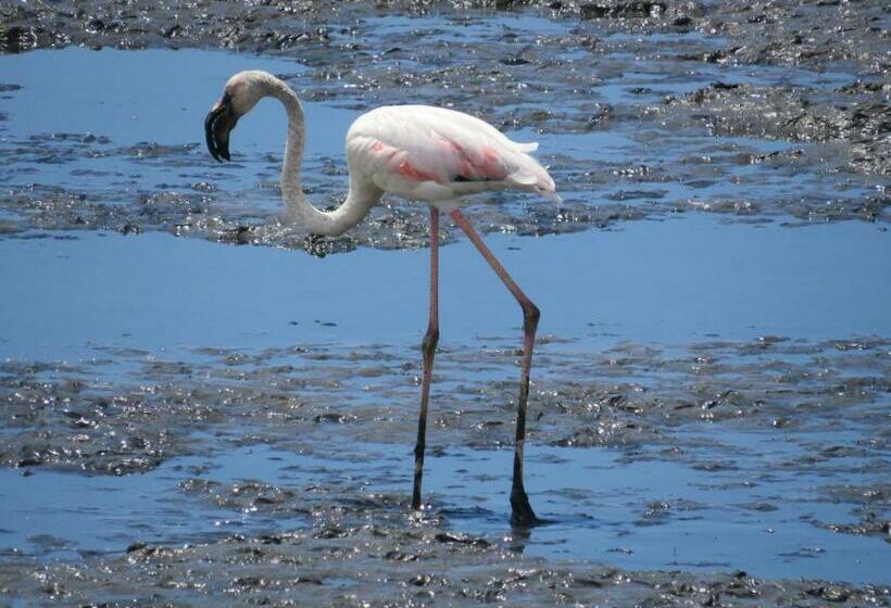 غرفة قياسية, Vagueira Guest House