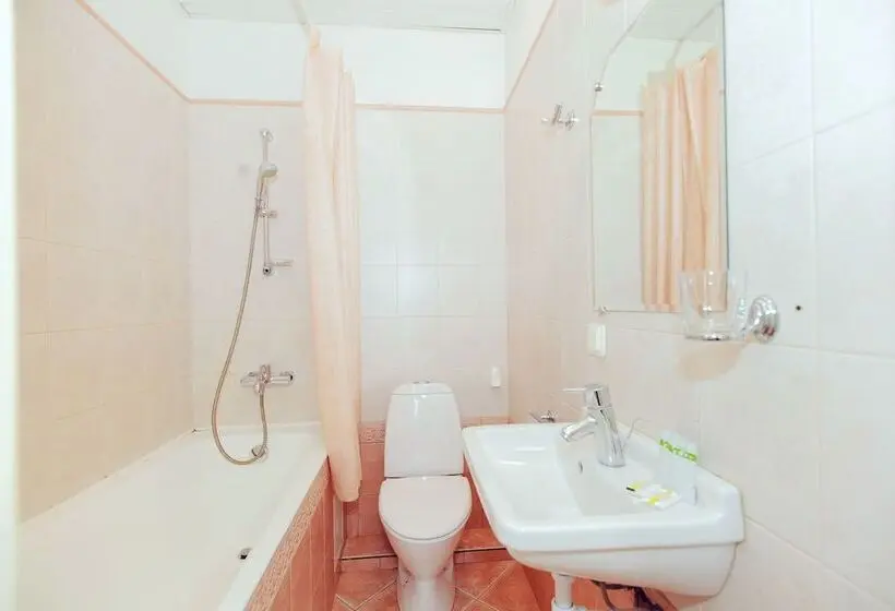 اتاق استاندارد, Pushkinskaya10 Pension