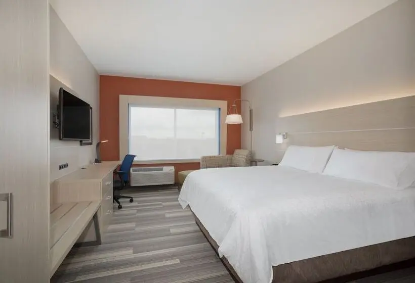 身障者適用スイートルーム, Holiday Inn Express & Suites Denver Ne Brighton, An Ihg