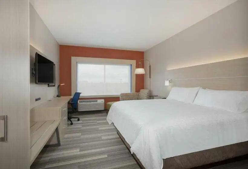 身障者適用キングサイズベッドルーム, Holiday Inn Express & Suites Denver Ne Brighton, An Ihg