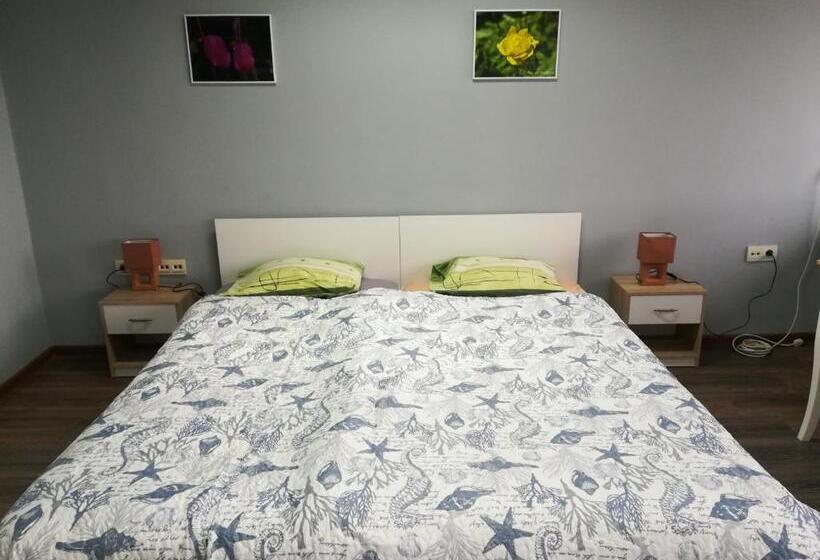 غرفة قياسية, Panorama Rooms