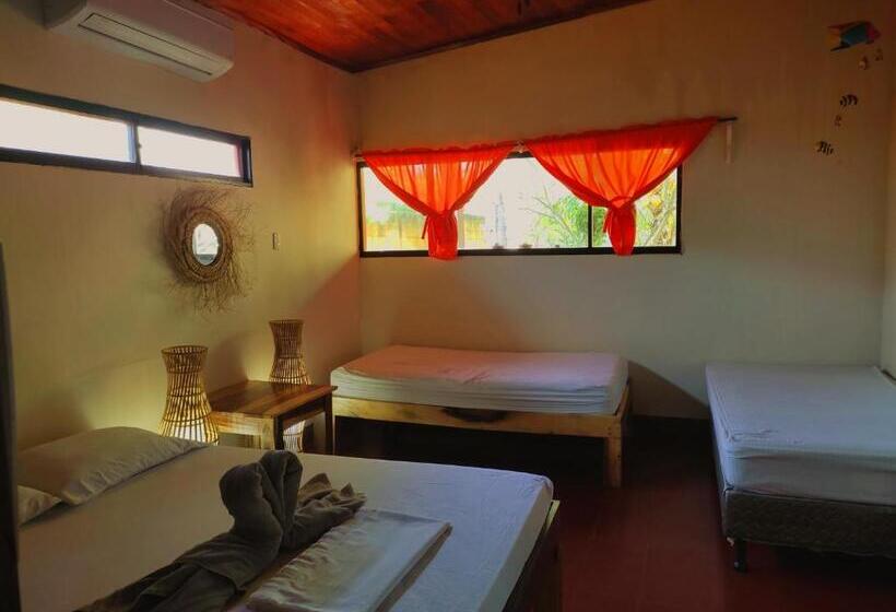 デラックスファミリールーム, El Belga Loco