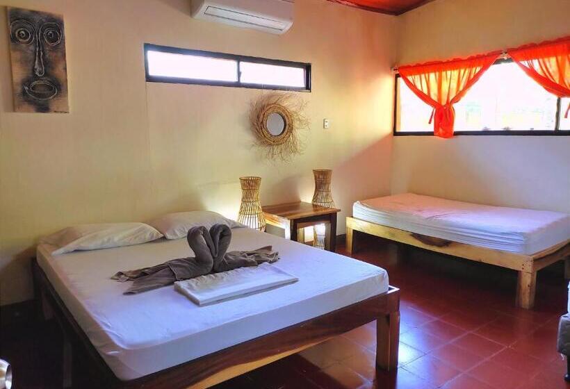 デラックスファミリールーム, El Belga Loco