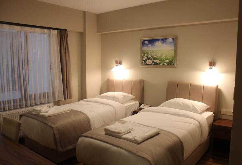 スタンダードルーム, Armida City