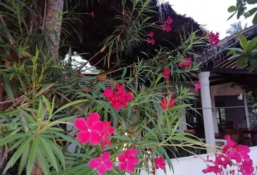 Deluxe-huone, Bay Dreams Beach