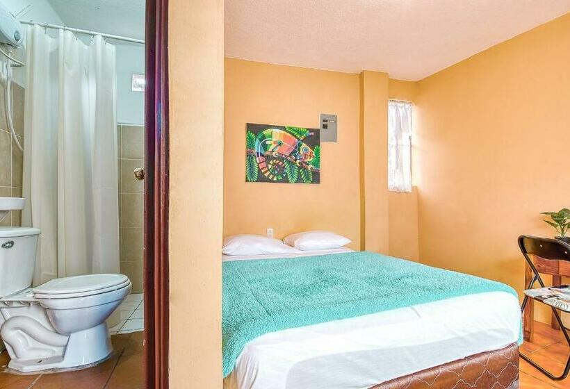 اتاق استاندارد, Amigos