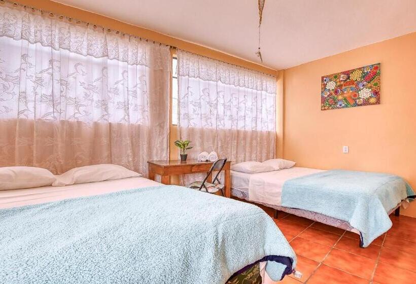 اتاق استاندارد چهار تخته, Amigos