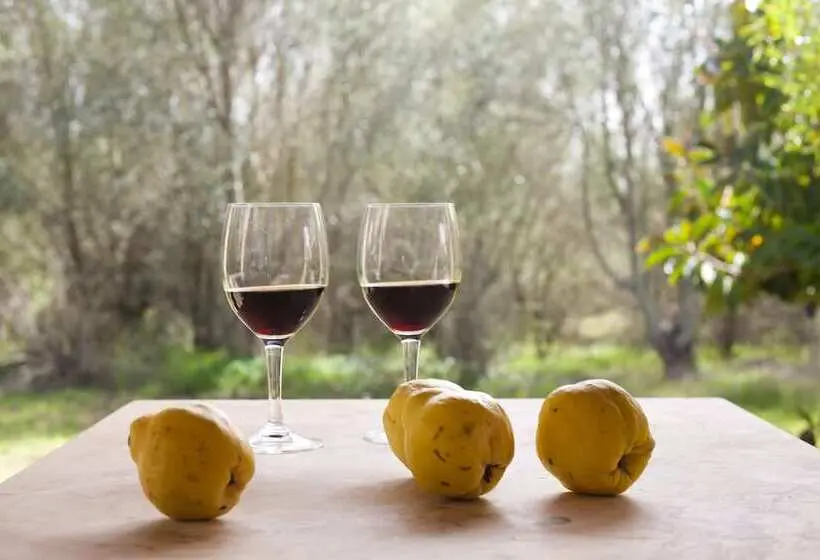 1ベッドルームアパートメント, Finca Son Sureda Agroturismo