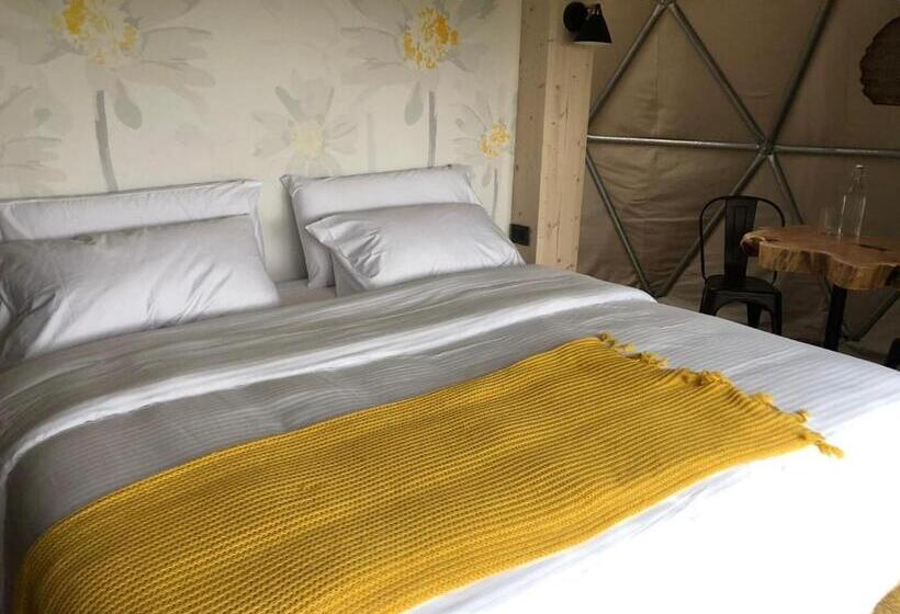 اتاق استاندارد, Big Bang Nature Stays