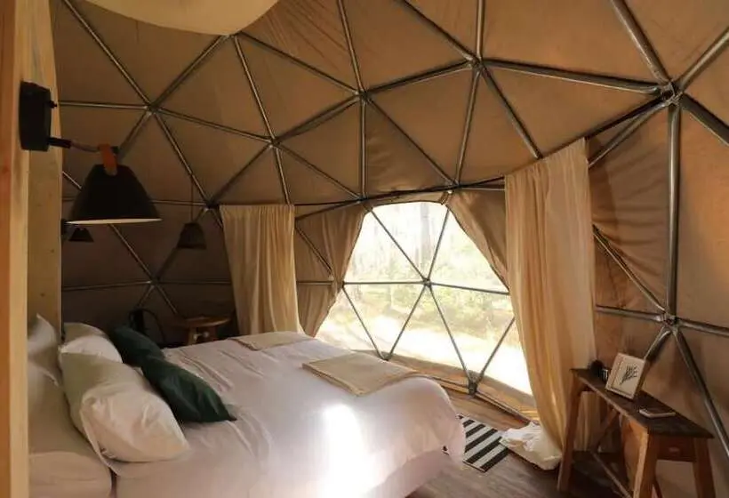 اتاق استاندارد, Big Bang Nature Stays