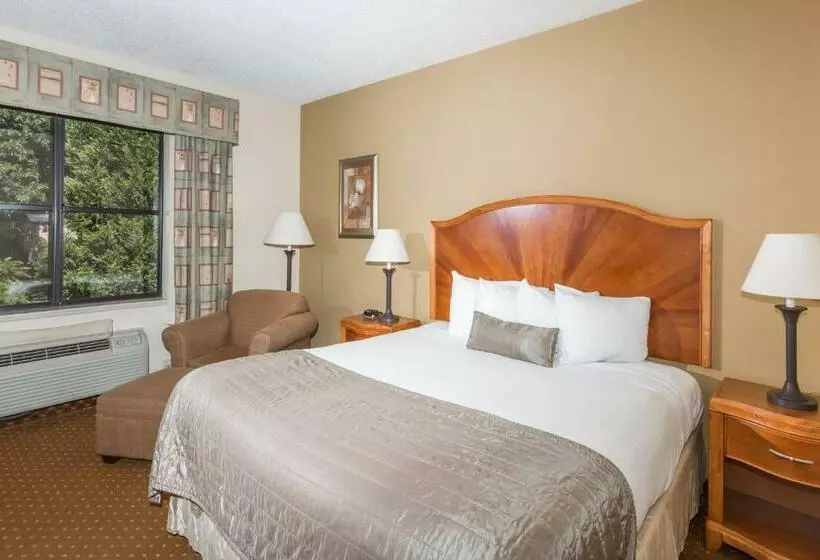 اتاق استاندارد با تخت بزرگ, Baymont By Wyndham Asheville/biltmore