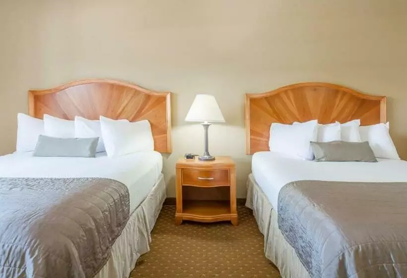اتاق استاندارد, Baymont By Wyndham Asheville/biltmore