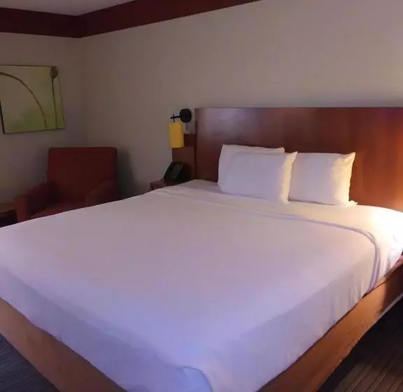Sviitti King-vuode, Travelodge By Wyndham Columbus State University