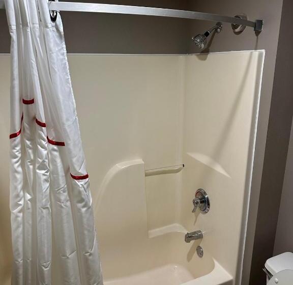 디럭스 룸 킹사이즈 침대, Red Roof Inn Flint