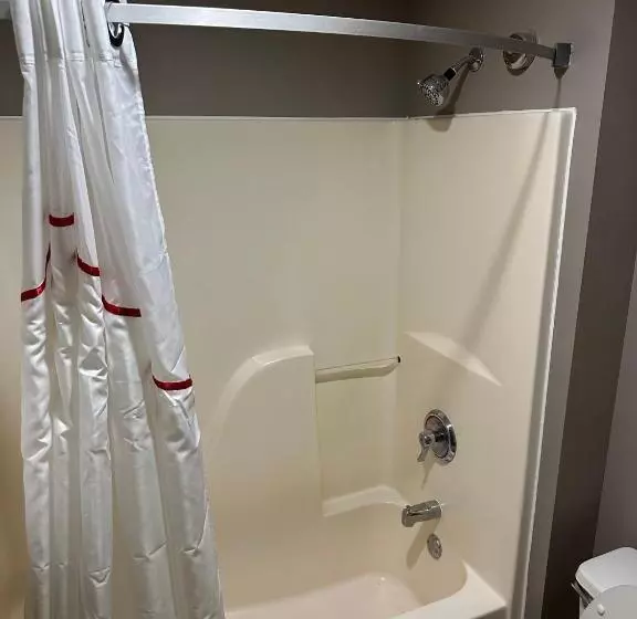 اتاق لوکس با تخت بزرگ, Red Roof Inn Flint