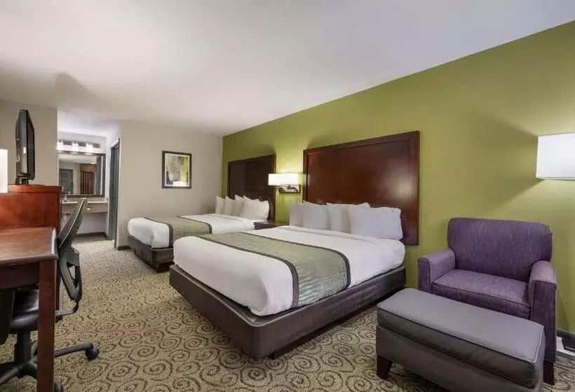 身障者適用クイーンサイズベッドルーム, Surestay Hotel By Best Western Deer Park