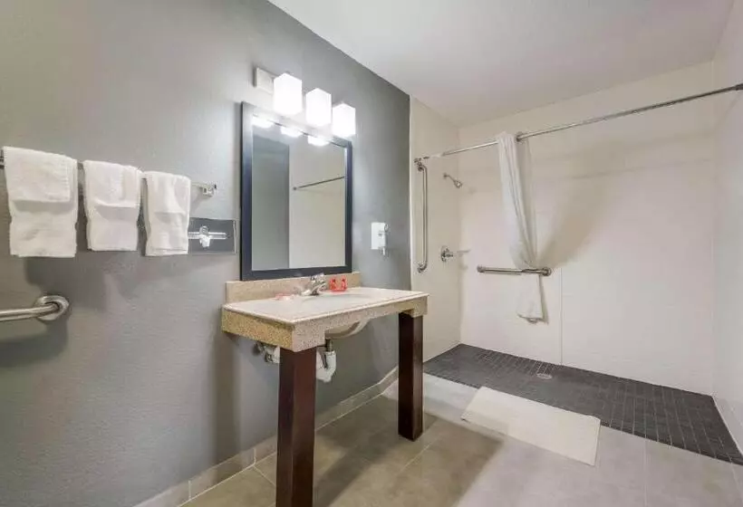 身障者適用キングサイズベッドルーム, Surestay Hotel By Best Western Deer Park