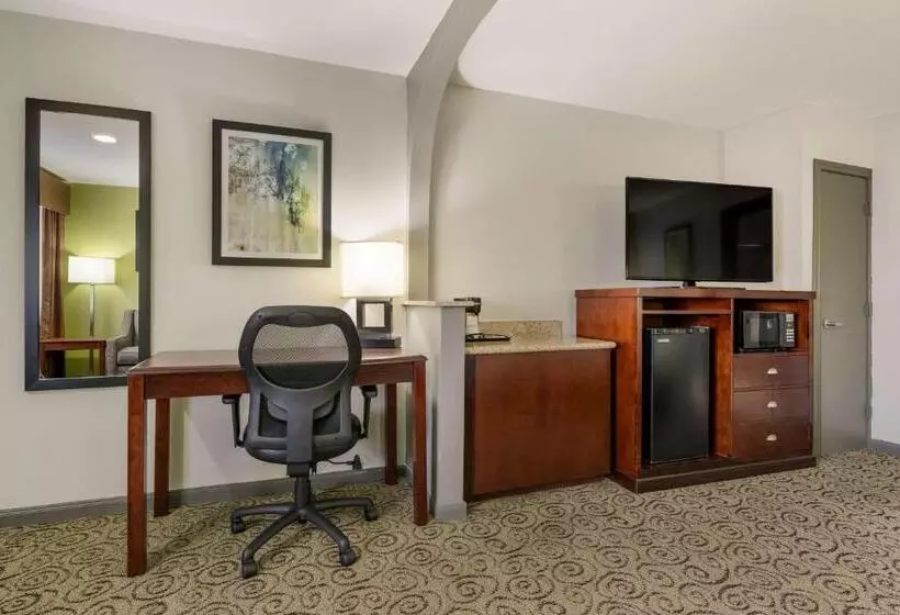 身障者適用キングサイズベッドルーム, Surestay Hotel By Best Western Deer Park