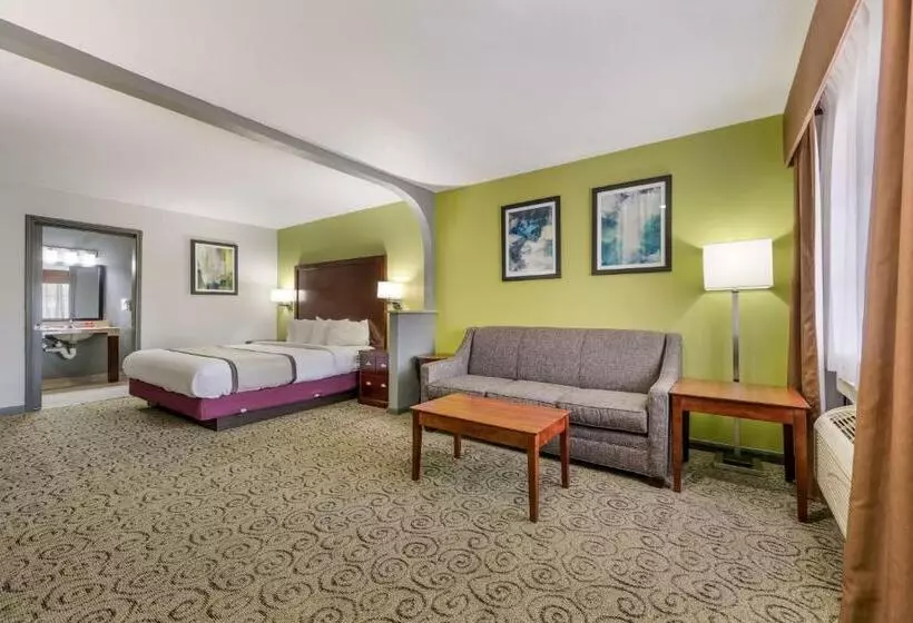 身障者適用キングサイズベッドルーム, Surestay Hotel By Best Western Deer Park