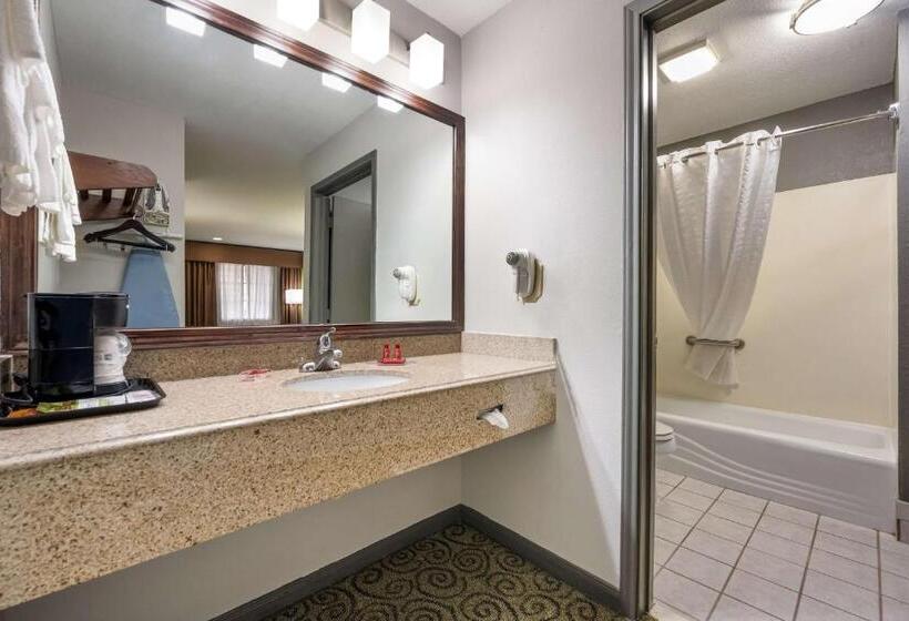 스탠다드 룸 킹사이즈 침대, Surestay Hotel By Best Western Deer Park