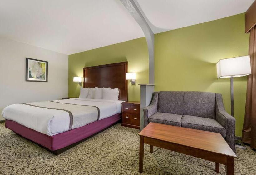 스탠다드 룸 킹사이즈 침대, Surestay Hotel By Best Western Deer Park