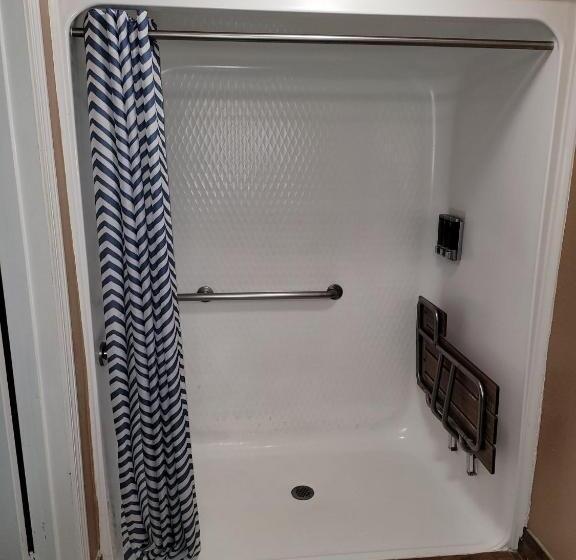 스탠다드 룸 킹사이즈 침대, Texas Inn And Suites Raymondville