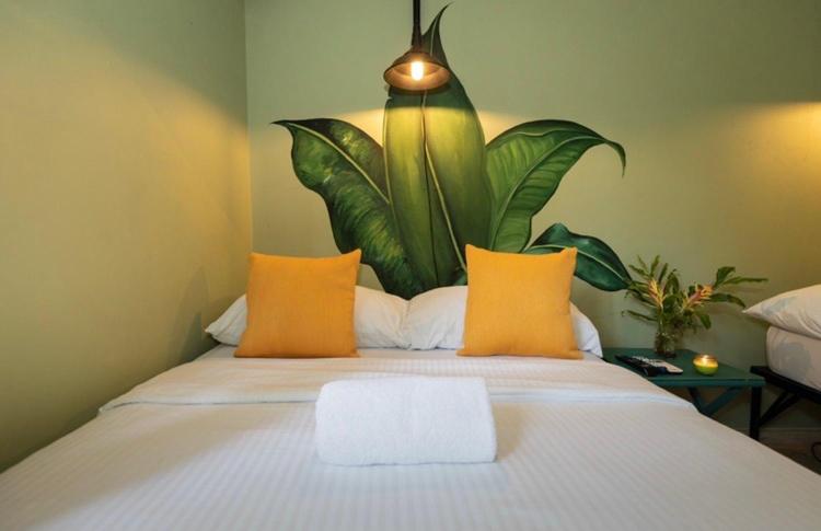 غرفة قياسية مطلّة علي الحديقة, Hostal & Café Travelers