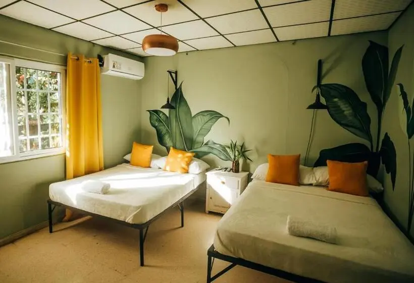 اتاق استاندارد با چشمانداز باغ, Hostal & Café Travelers